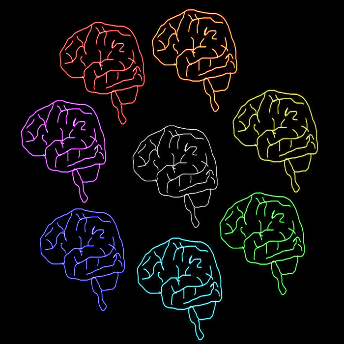 Prismatic Brain